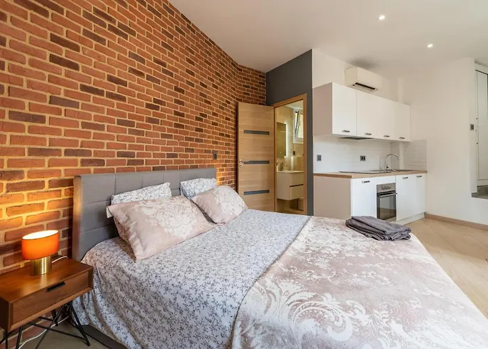 Grand Climatise Tres Proche Monaco Apartment